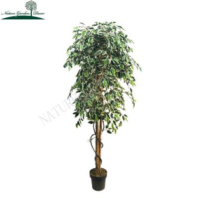 China Real Touch Luxury Indoor Ficus Large Fake Leaves Plants In Pot Indoor White And Green Banyan Tree for sale