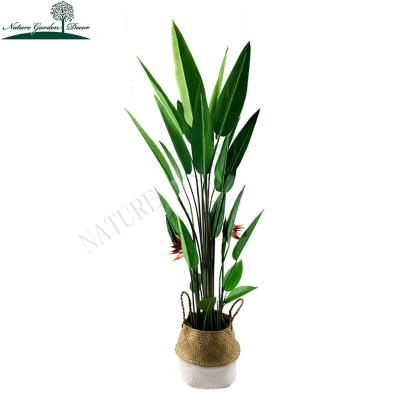 China Real Touch Hotsale Artificial Indoor Banana Tree Silk Bird From The Almost Natural Artificial Paradise Plant Skybird Plant for sale