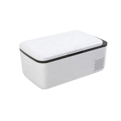 China Low Battery Protection 20L Car Freezer Fridge 12v 220v Portable Fridge Camping Compact Refrigerator for sale