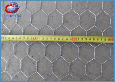 China Hexagonal Wire Mesh Stainless Steel Poultry Netting For Feeding Chicken for sale