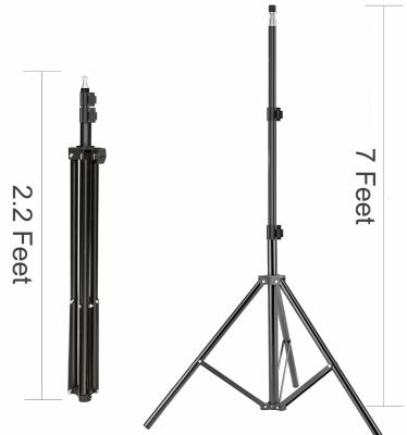 China Photo Studio Video 2.1m Light Stand Tripod with 1/4 Screw Head for Softbox Flash Lamp Umbrella Reflector and Ring Light for sale