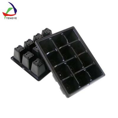 China Shenzhen PS Seedling Plastic Material Tray With Customized Size And Specifications To Be Drawn for sale