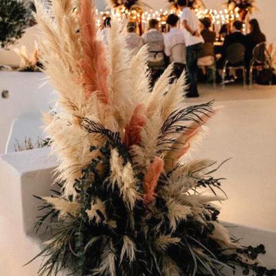 China Single silk pampas grass simulated artificial pampas grass decorative pampas grass for sale