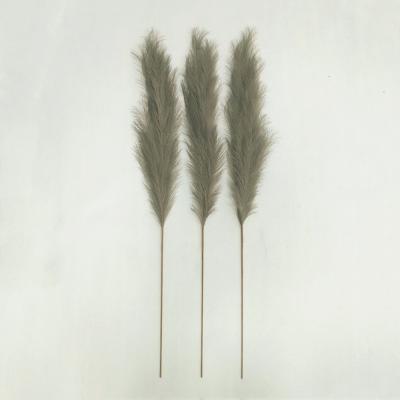 China Decoration for home & marry the & pampas grass wholesale dry pampas grass wedding pampas grass extra large market pampas grass and so on 50CM 110cm 130 for sale