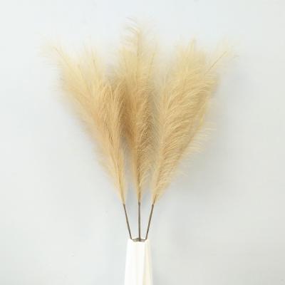 China Fashional Classic Pampas Grass Artificial with Wheat Color and High Quality Pampas Grass for sale