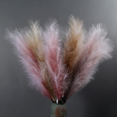 China New Polyester Color Gradient Color Preserved Pampas Grass Exclusive Warrant Fake Home Decor Pampas Grass Flower for sale