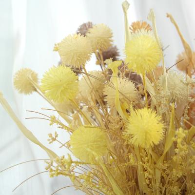 China Hot Sale Paper Flowers Beautiful Dry Colorful Chrysanthemum Helichrysum Strawflower For Decoration for sale