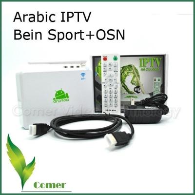 China ARM Cortex-A9 HI-3716M Arabic HD IPTV Box With 550 Channels 90-250V 50Hz / 60Hz for sale