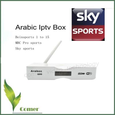 China 2 Years Free Arabic IPTV Box Google Android TV Box Turkish IPTV RJ-45 Interface USB Wifi  No Dish for sale