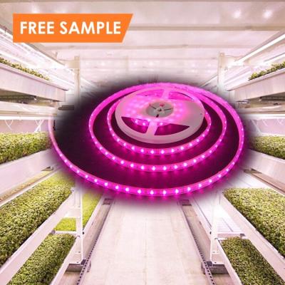 中国 Seed Starting Full Spectrum Indoor Plant LED Strip Grow Light Custom Waterproof 2835 5050 Led Grow Light Strip 販売のため