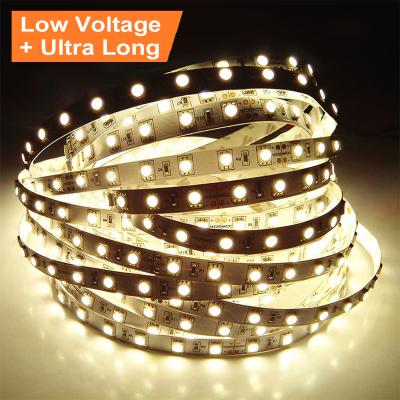 China LANDSCAPE 20m 30m 40m 50m 60m LED Strip Light 5050 2835 Ultra Long Low Voltage 24V 48V RGB Cable LED Strip à venda