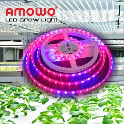 China Seed Starting Free Sample Led Grow Light Strip Full Spectrum Grow Light Led Strip For Mushroom Greenhouse Te koop