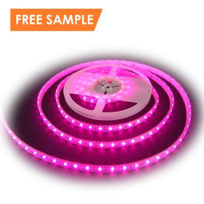 China Free Sample Seed Starting Lights Grow Strips Indoor Plant Waterproof Lighting Full Spectrum Led Grow Light Strip Te koop