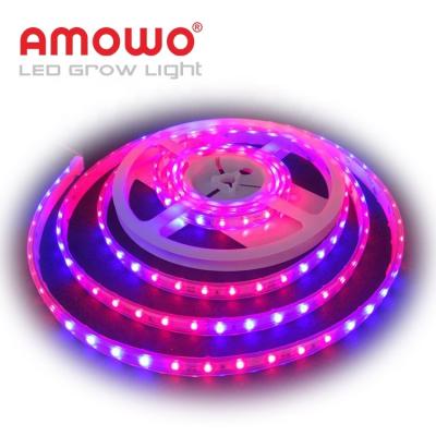 中国 Seed Starting Free Sample 2835 5050 Hydroponic LED Grow Strip Full Spectrum 販売のため