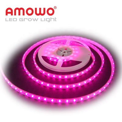 中国 Seed Starting Free Sample To Grow To Bar Hydroponic Led Strip Grow Lights For Greenhouse 販売のため