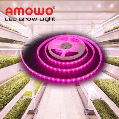 Cina Seed Starting Free Sample Led Grow Lights Waterproof Led Strips Full Spectrum Light For Growing Strip in vendita