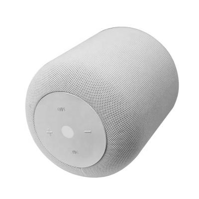 China 2019 BSCI Radio Factory OEM Amazon Best Selling Homepod 10W Blue Tooth Speaker for sale