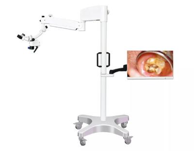 China HD microscope operation microscope for ophthalmology dental microscope with good price LED light source for coaxial illumination for sale