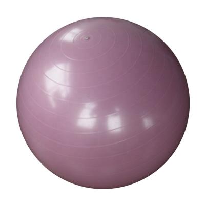 China Anti-shatter 65cm Bodybuilding Products Bulk PVC Massage Ball for sale