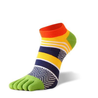 China 2022 Success 2022 Amazon Wicking Multi Color Finger Cotton QUICK DRY Multi Color Comfy Sporty Women Toe Socks for sale