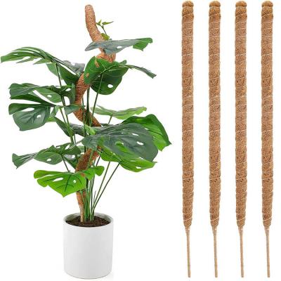 China 60-120CM Single Moss Pole For Plants Bendable Shaped Moss Pole For Climbing Plants Small And Large Green Pillar Self Watering Moss Pole for sale