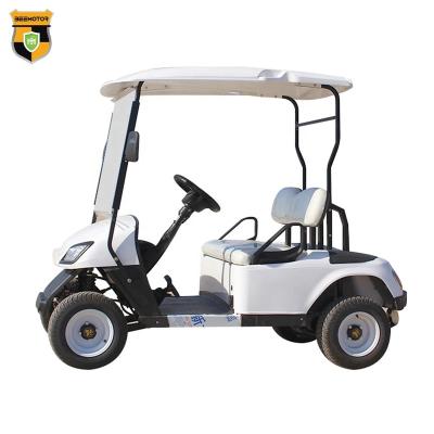 China Made In China Golf Buggy 2 Wheel Electric Mini Single Seat Golf Car Cheap Golf Cart For Sale 165-70-R13 for sale