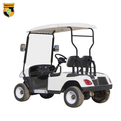 China Electric Club Golf Carts Buggy 2 Wheel Electric Mini Single Seat Ambulance Golf Cart 165-70-R13 for sale