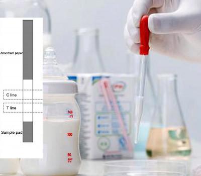 China 2-8 antibiotische Test-Streifen ℃ Rohmilch-Chinolon Entdeckungs-einfacher Gebrauch zu verkaufen