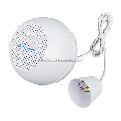 China NO 5W 10W OEM 5inch pendant speaker public address system active hanging speaker for sale