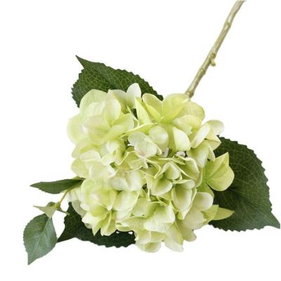 China High Quality Environmental Protection Green Plant Artificial Silk Real Touch 18cm Hydrangea Flowers for sale