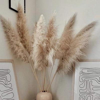 China High Quality Pampas Grass Amazon Green Success Plant Environmental Protection Real Touch Nordic Wedding Decoration for sale