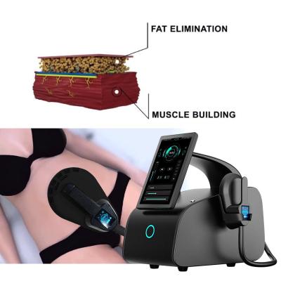 China Body Sculpting Slimming Ems Machine 2000va 30uh for sale