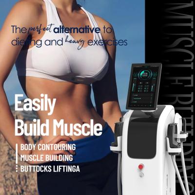 China EMS Sculpting Non Invasive Portable Machine With 4 Handles for sale