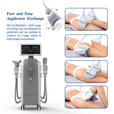 China Non Invasive Cryolipolysis Weight Loss Machine Cellulite Treatment Machine for sale