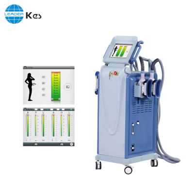 China Weight Loss Cryo Lipolysis Beauty Machine With Double Cooling Plates for sale