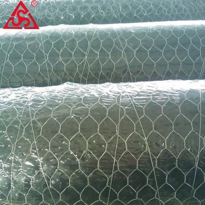 China Galvanized protection performance 2021 rion wire for hexagonal chicken mesh wire mesh for sale