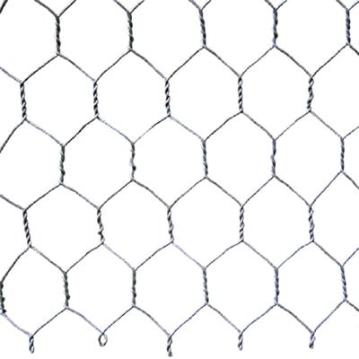 China Easily Assembled 1/2 By 50 Electro Galvanized Hexagon Netting 50 By 50 Made In China For Bird For Chicken for sale