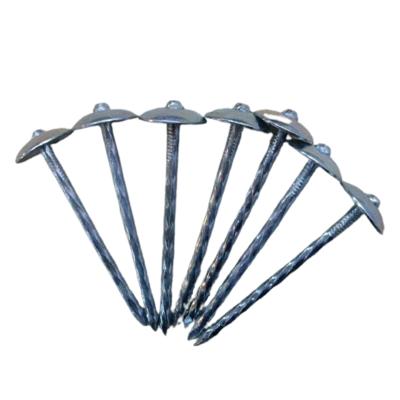 China Hat China Sun Galvanized Low Carbon Steel Iron Nail Umbrella Head Covering Nail 9G X 2 1/2