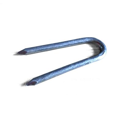 China Cheap low price hot sale flat galvanized turf staples 2 mm type u nails for sale