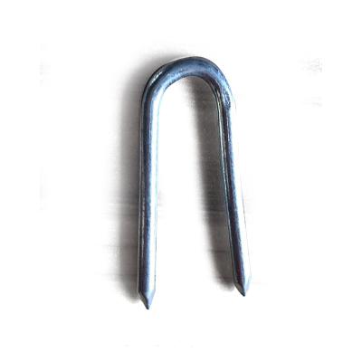 China Hot Selling Diamond Flat Common Pointed Cheap Low Price Wire Iron Sun Galvanized Lawn Staples 2 Mm Type U Nails for sale