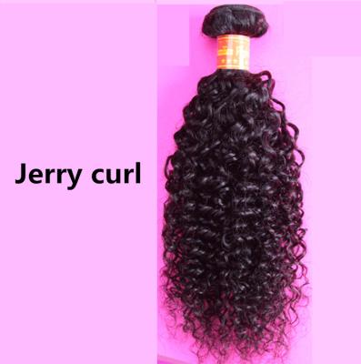 China Jerry Curl Patiya Jerry Curly Hair Raw Unprocessed Brazilian Hair Afro Curly 100% Curly for sale