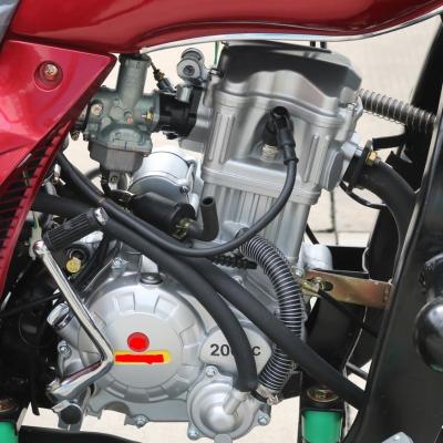 China 150cc Zongshen Water Cooled Manual Engine for Tricycle Motorcycle Limited Time Offer for sale