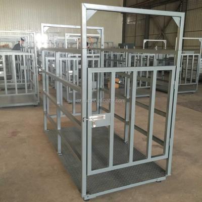 China To weigh pig Kingtype animal barrier tcs electronic platform scale for sale