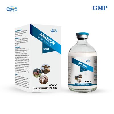 China Amoxicillin Injection 15% 100ml Veterinary Antiparasitic Drugs For Cattle Respiratory Tract Infection for sale