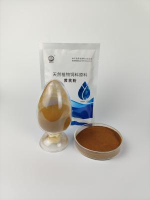 China 84687-43-4 chinesische Patent-Medizin-Astragal-Polysaccharid-Solvent-Extraktion zu verkaufen