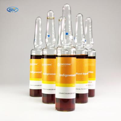 China Veterinary ISO9001 Banlangen Chinese Patent Medicines Indigowoad Root Injection for sale