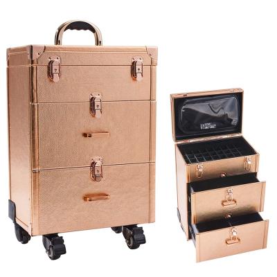 China Fashion Beauty Case Trolley Nail Polish Organizer Case Clear Cosmetics Caserten Steel Train Case with Drawers for sale