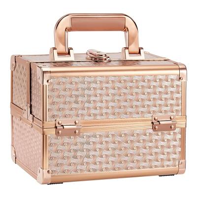 China Fashion Lockable Portable Makeup Train Case Box Jewelry Cosmetic Organizer with Keys and 2-Tier Mirror Trays Carrying with Handle for sale