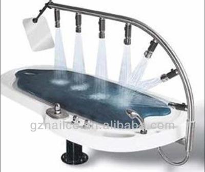 China Portable Spa Bed Shower Spa Wet Table Spa Bed Detox Water Table For Sale for sale