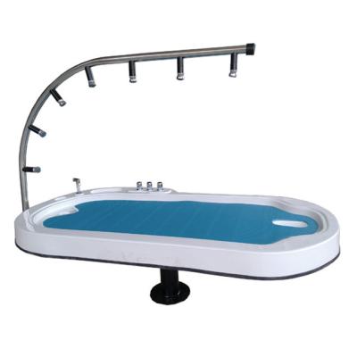 China Skin Tighten Size Quality Hydromassage Table , Tabletop Portable Shower LK-211 for sale